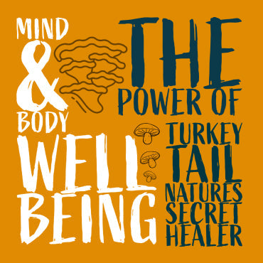 Unlocking the Power of Turkey Tail Nature’s Healing Secrets Revealed