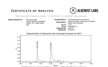 Page 1 of the Alkemist Labs certificate of analysis for Mushroom Rise Cordyceps extract
